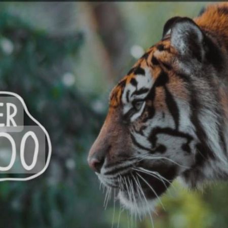 The Beautiful Bungalow Amazing Location For Chester & Zoo Wervin Bagian luar foto
