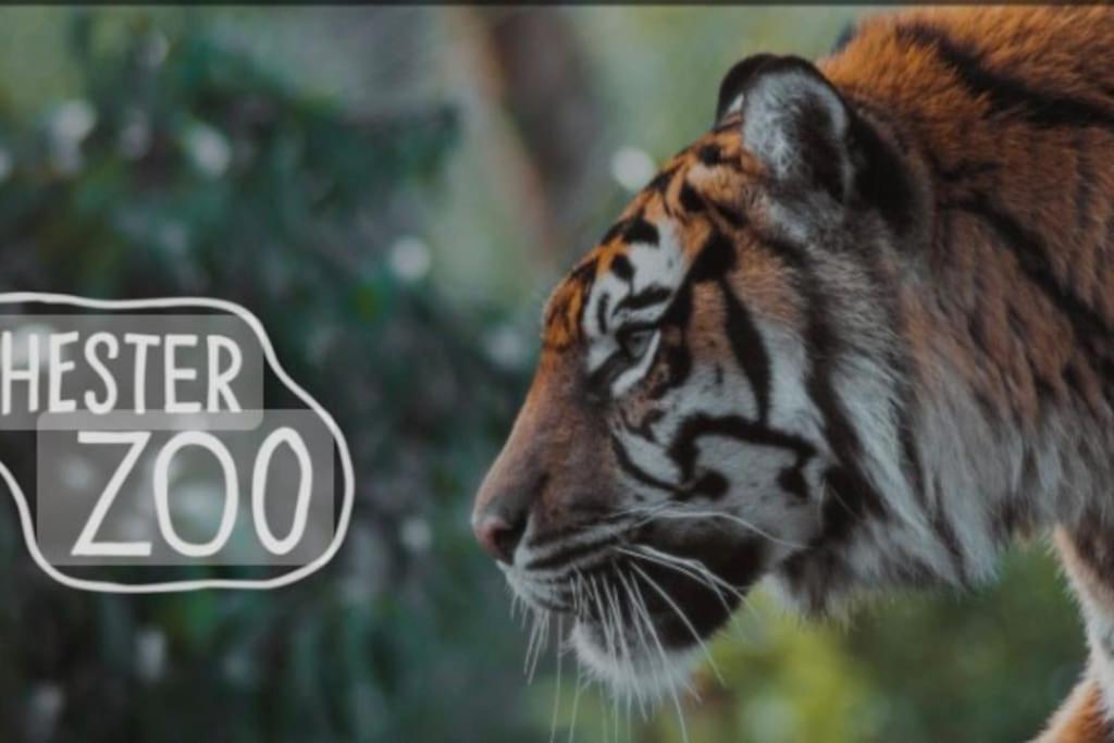 The Beautiful Bungalow Amazing Location For Chester & Zoo Wervin Bagian luar foto